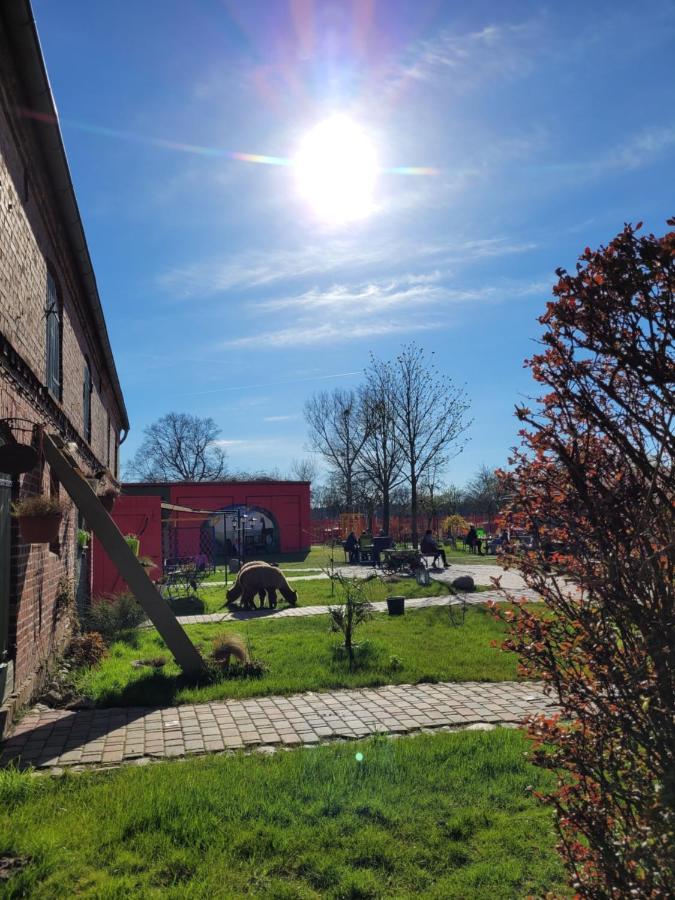 Maerchenhaft Urlauben Auf Dem Alpakahof Daire Rambow Dış mekan fotoğraf